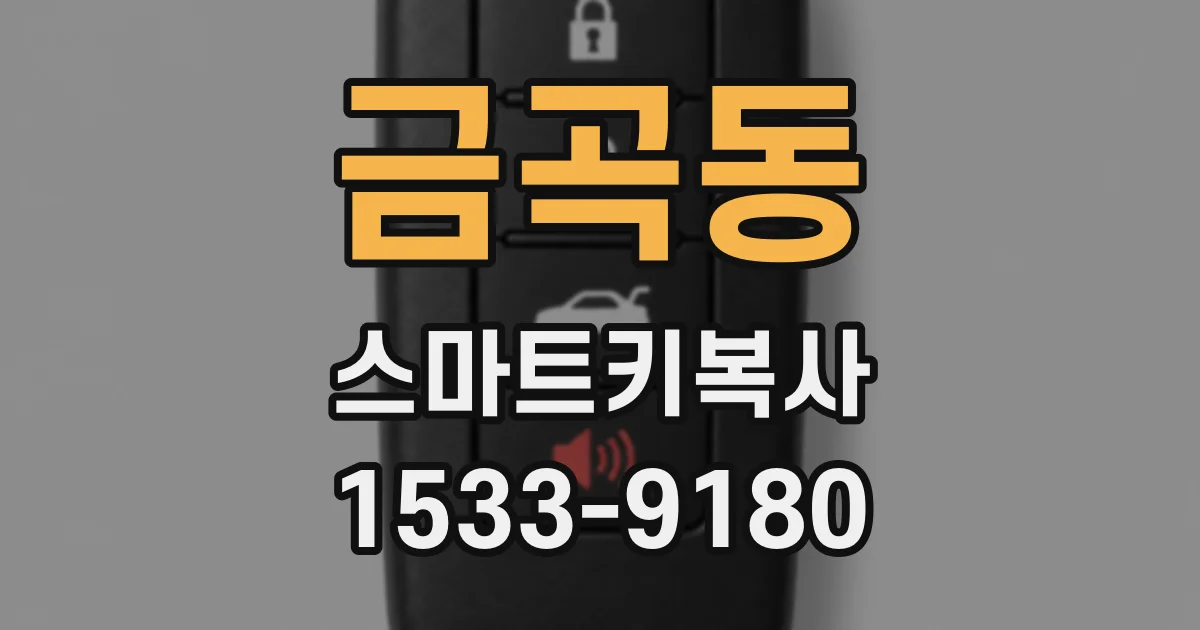 금곡동 스마트키복사