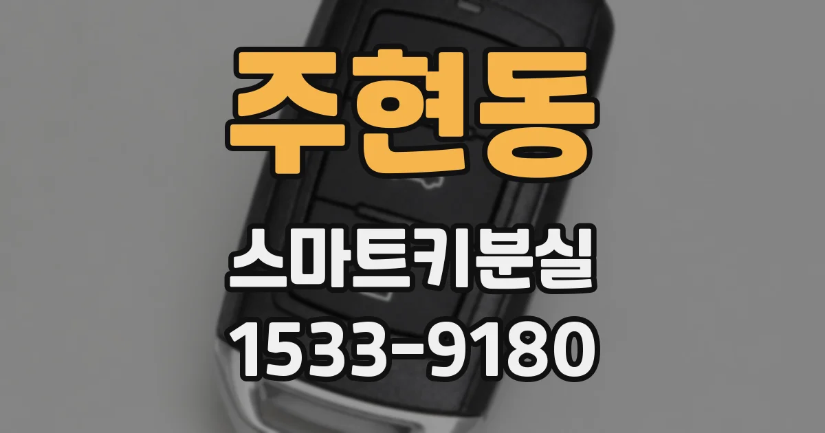 주현동 스마트키분실