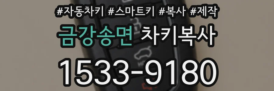 금강송면 차키복사
