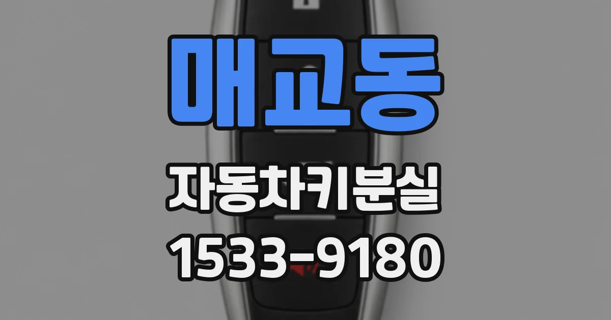 매교동 자동차키분실