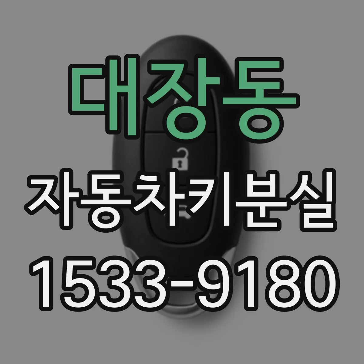 대장동 자동차키분실