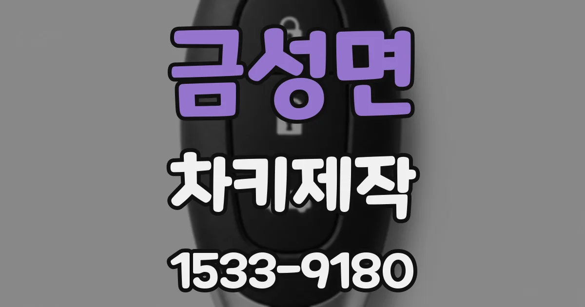 금성면 차키제작