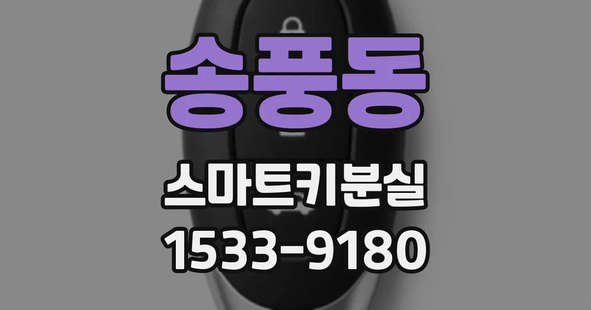 송풍동 스마트키분실