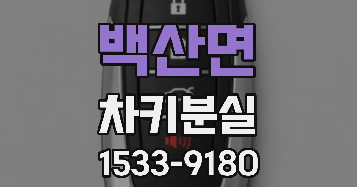 백산면 차키분실