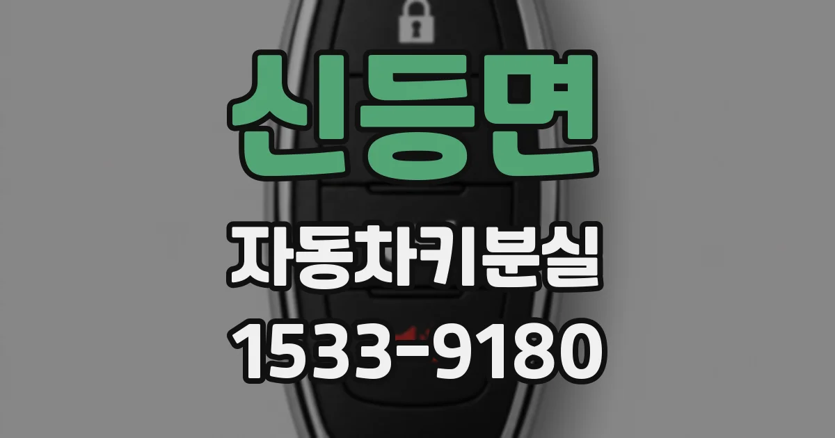 신등면 자동차키분실
