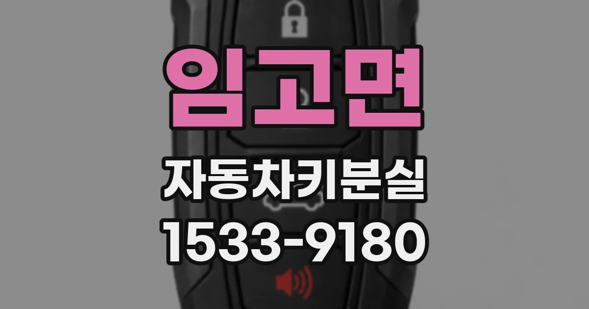 임고면 자동차키분실