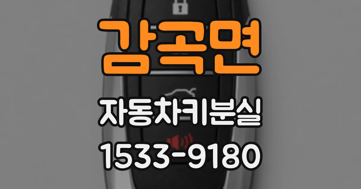 감곡면 자동차키분실