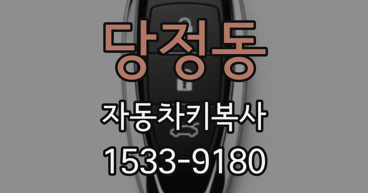 당정동 자동차키복사