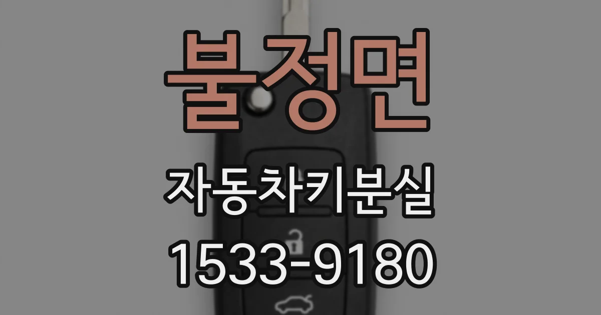 불정면 자동차키분실