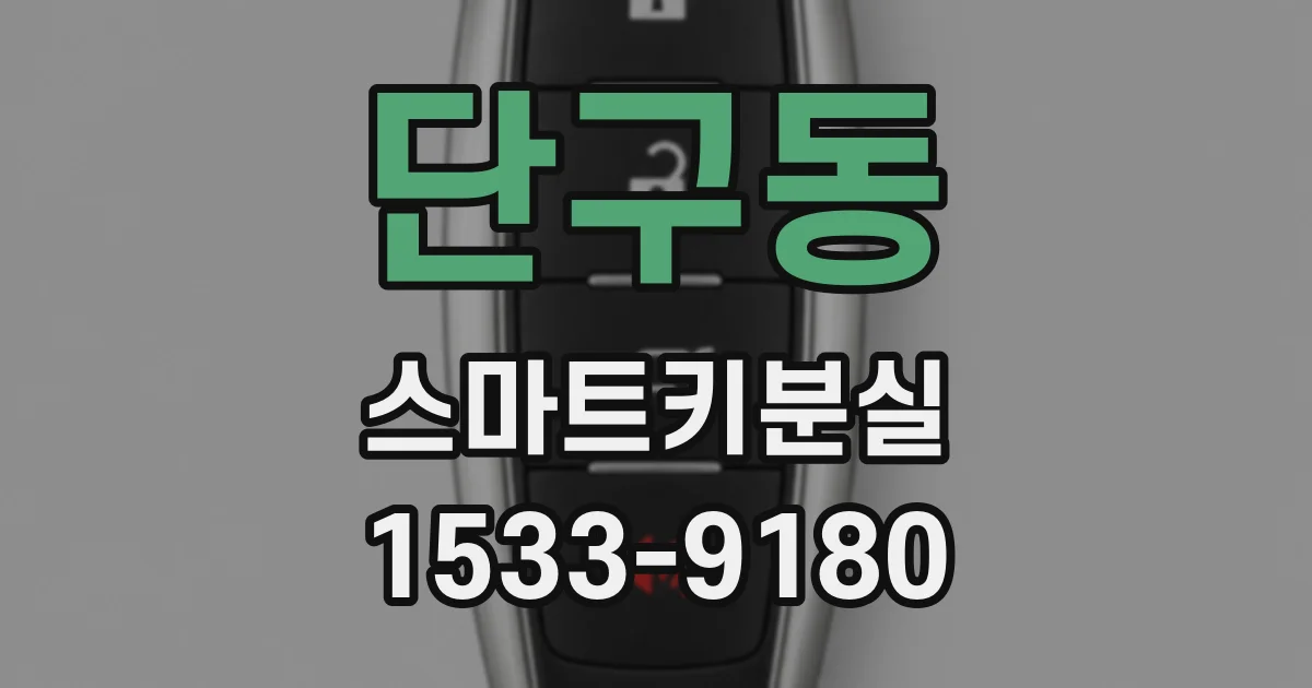 단구동 스마트키분실