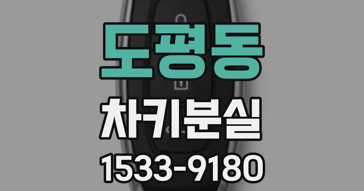 도평동 차키분실