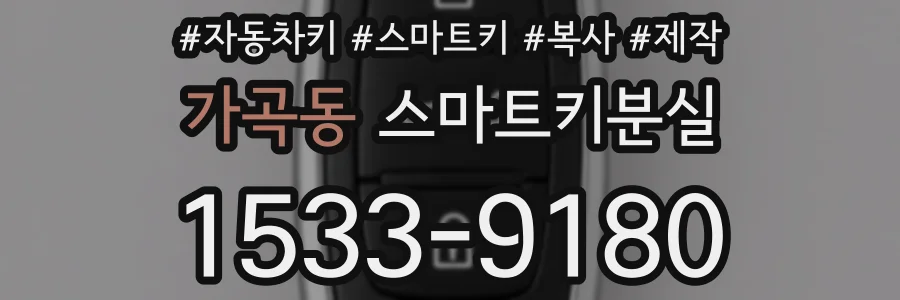 가곡동 스마트키분실