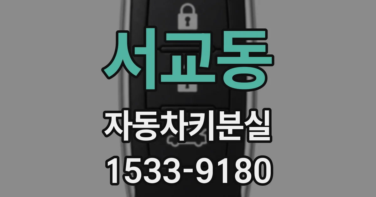 서교동 자동차키분실