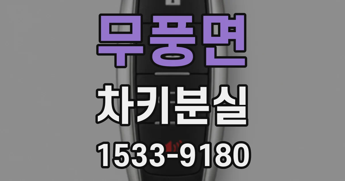 무풍면 차키분실