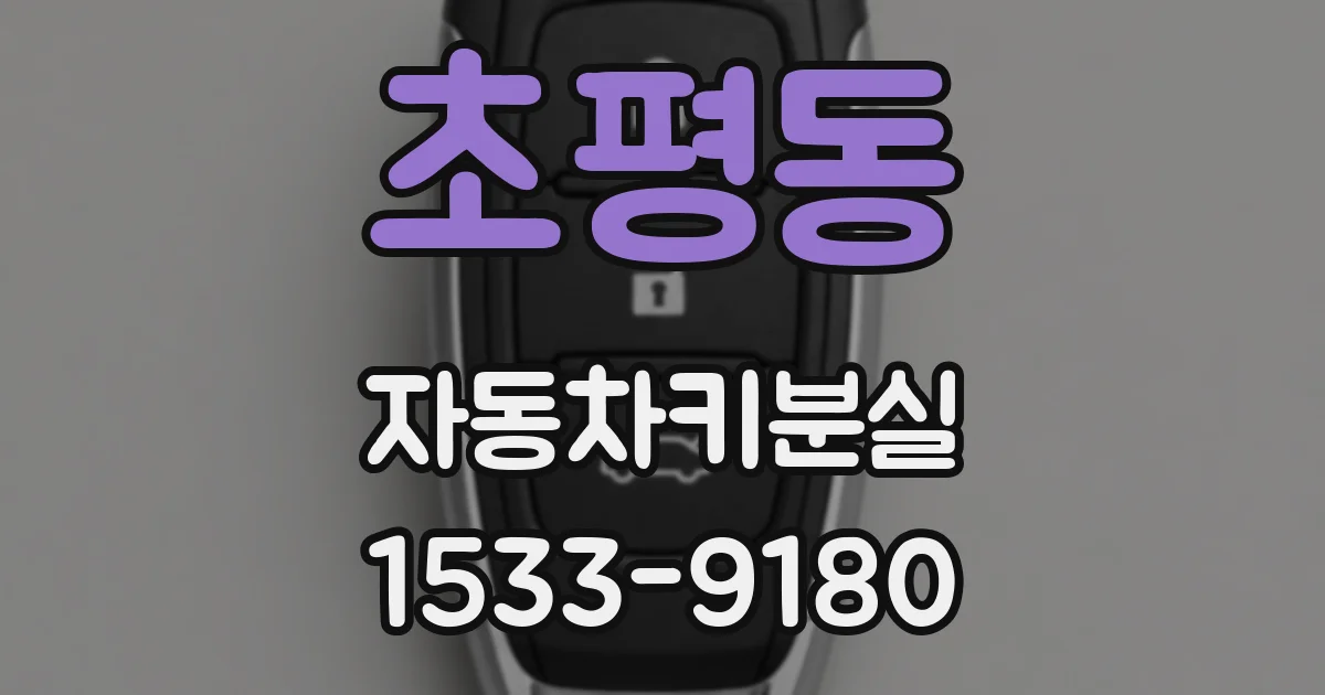 초평동 자동차키분실