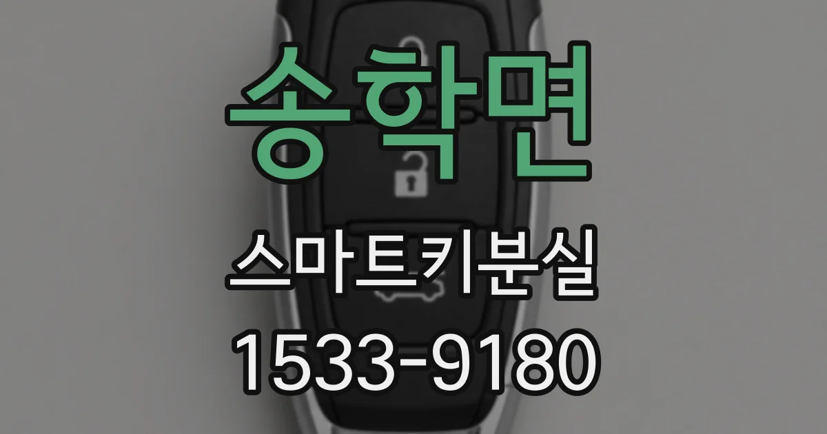 송학면 스마트키분실