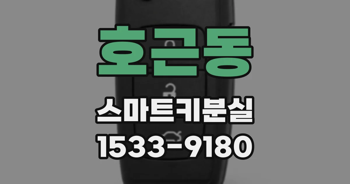 호근동 스마트키분실