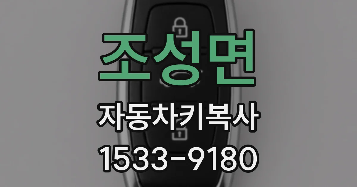 조성면 자동차키복사