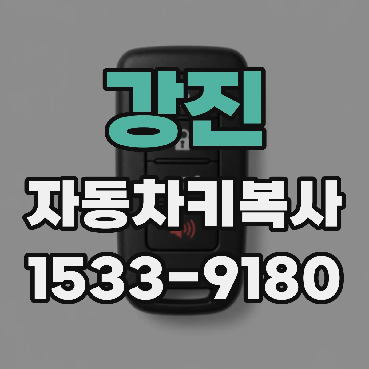 강진 자동차키복사