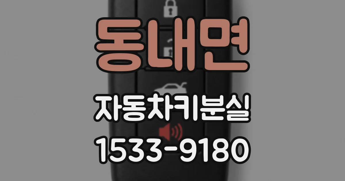 동내면 자동차키분실