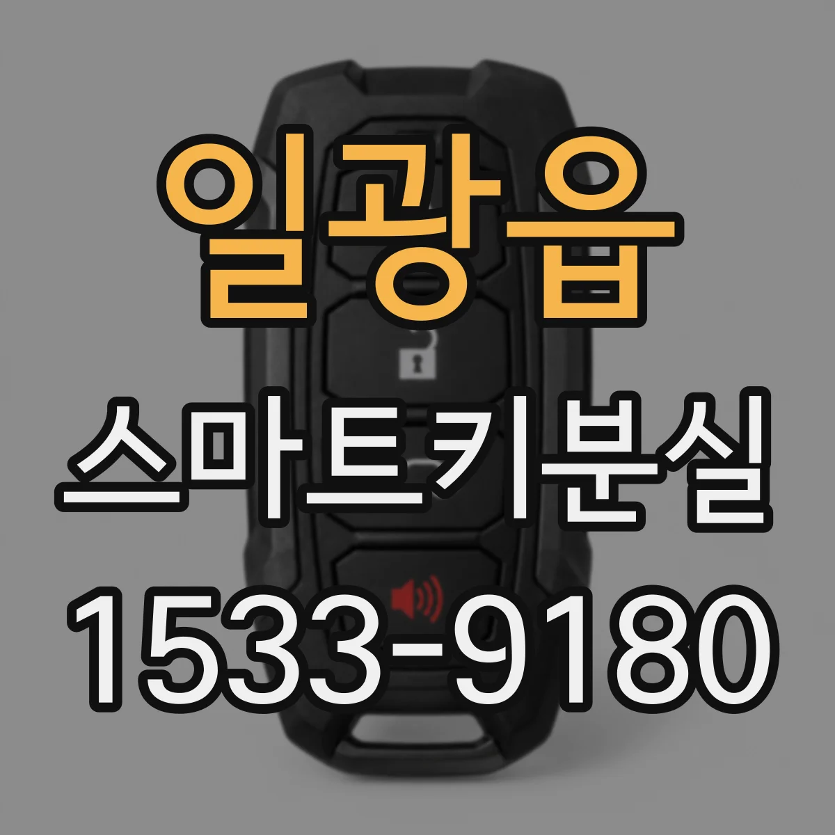일광읍 스마트키분실