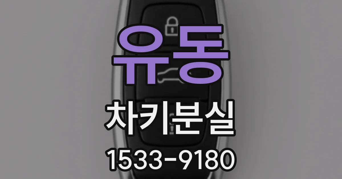 유동 차키분실