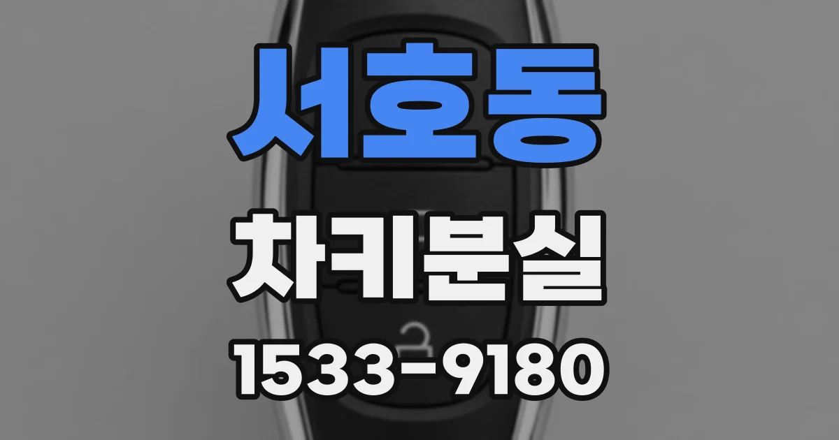 서호동 차키분실