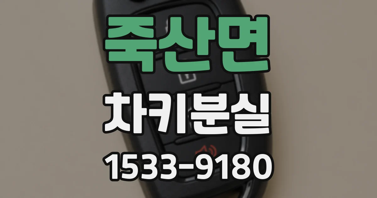 죽산면 차키분실