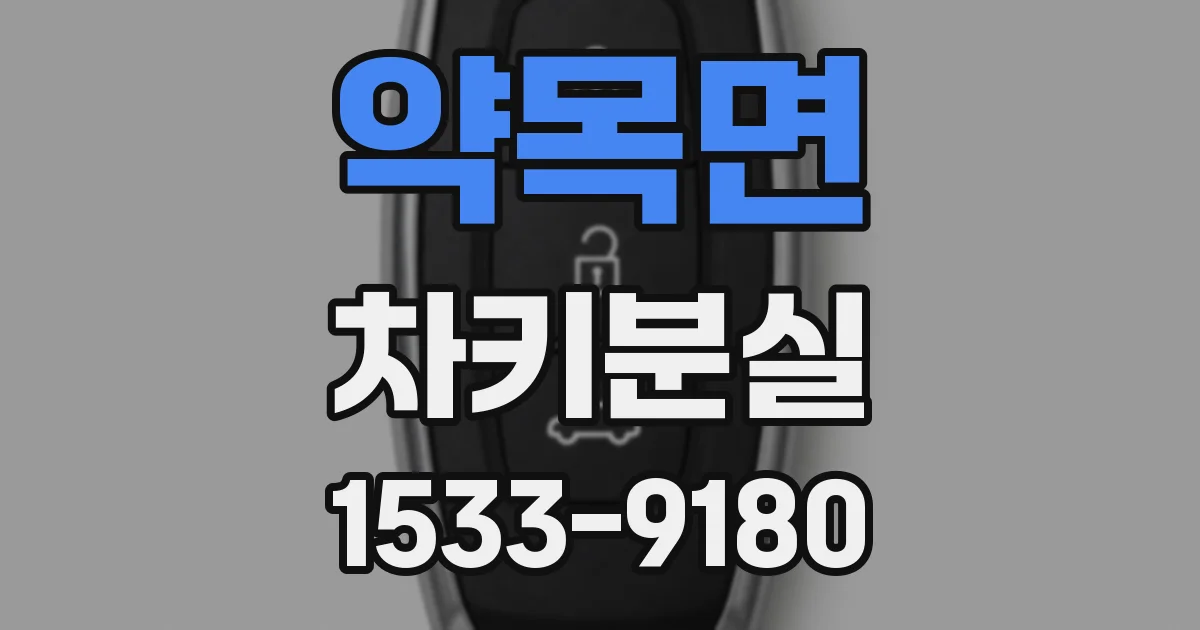 약목면 차키분실