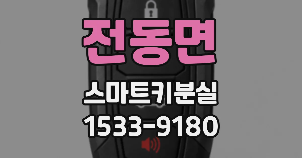 전동면 스마트키분실