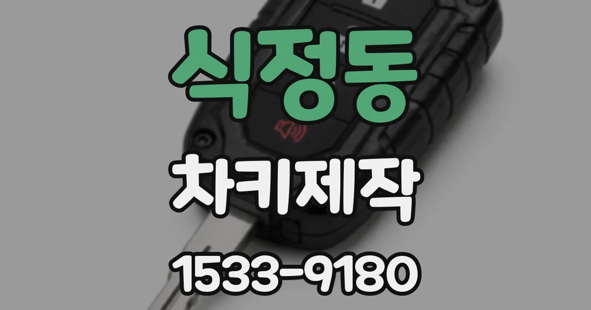 식정동 차키제작