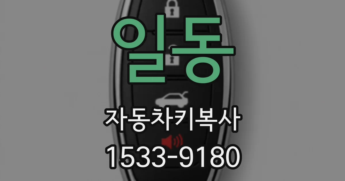 일동 자동차키복사