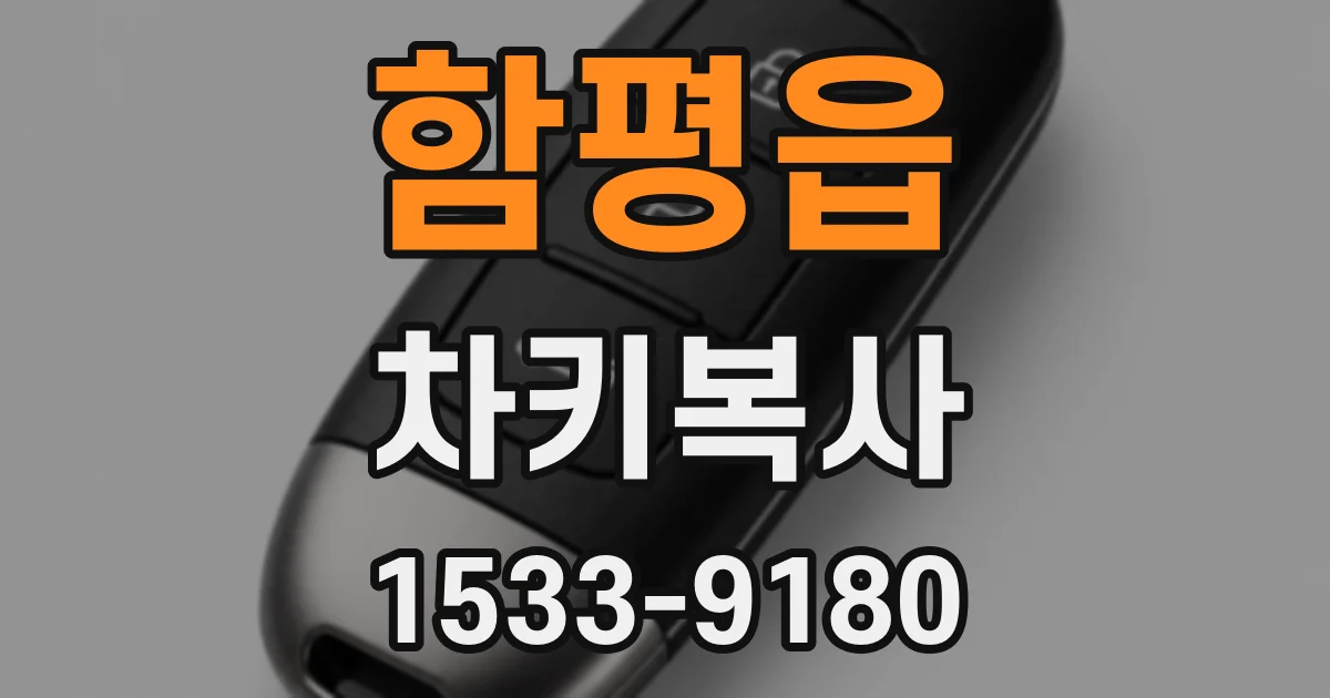 함평읍 차키복사