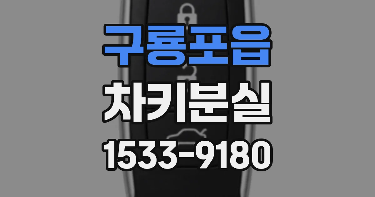 구룡포읍 차키분실