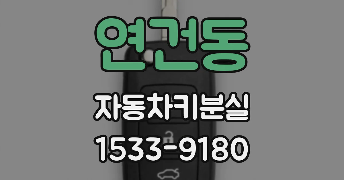 연건동 자동차키분실