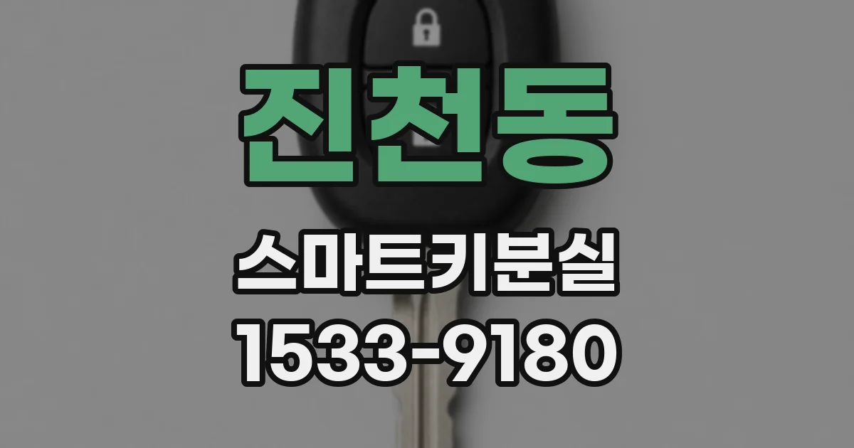 진천동 스마트키분실
