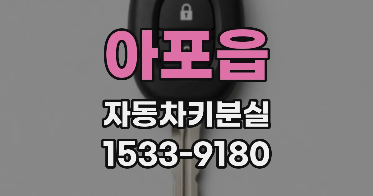 아포읍 자동차키분실