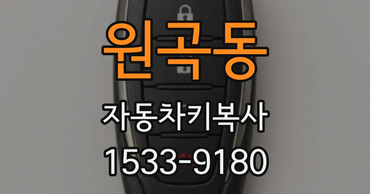원곡동 자동차키복사