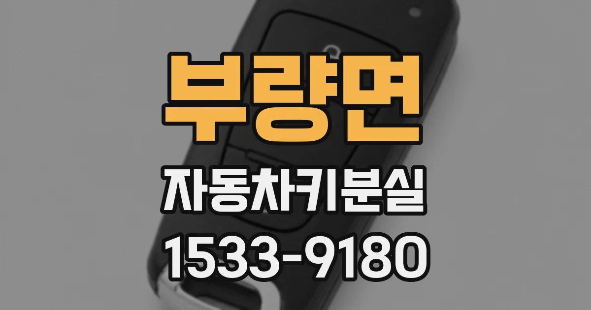 부량면 자동차키분실