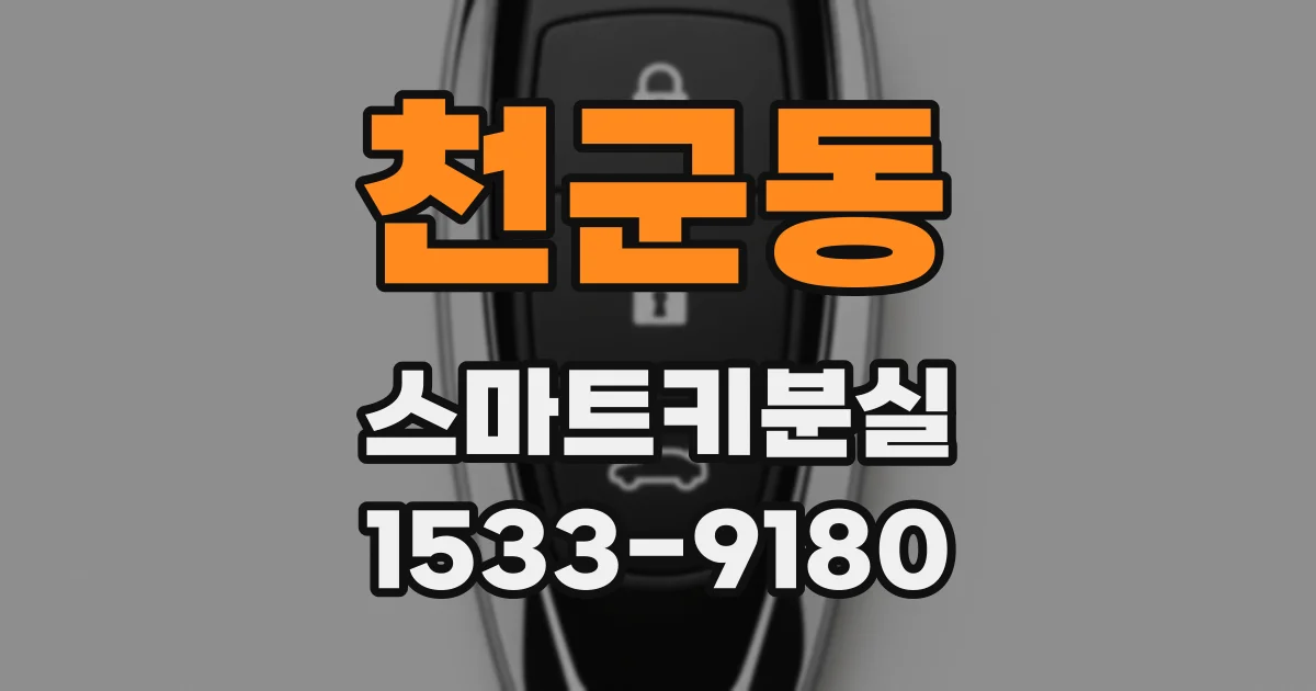 천군동 스마트키분실