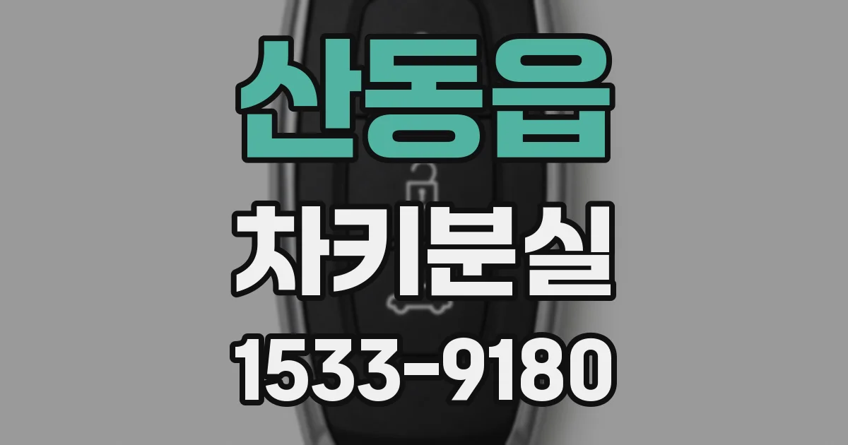 산동읍 차키분실