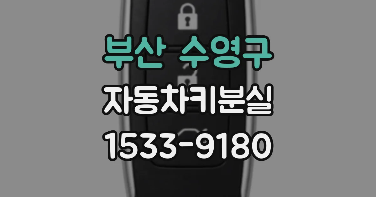 부산 수영구 자동차키분실