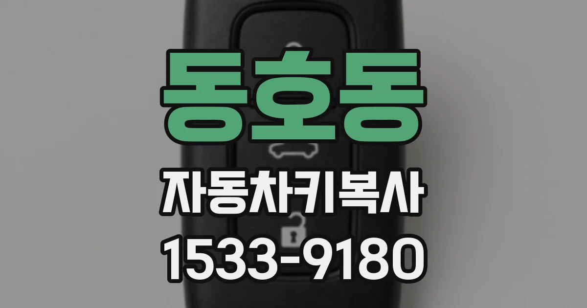 동호동 자동차키복사