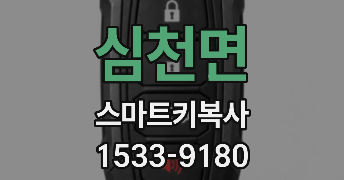 심천면 스마트키복사
