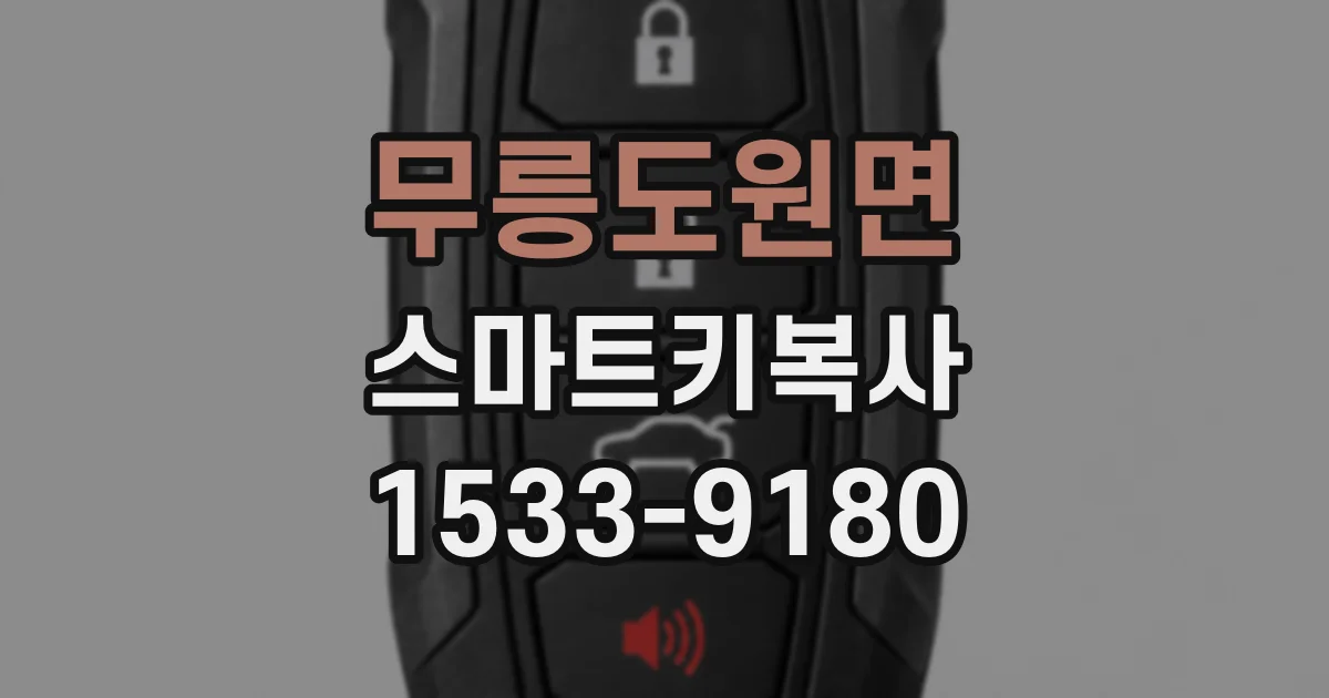 무릉도원면 스마트키복사