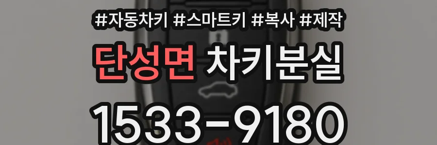 단성면 차키분실