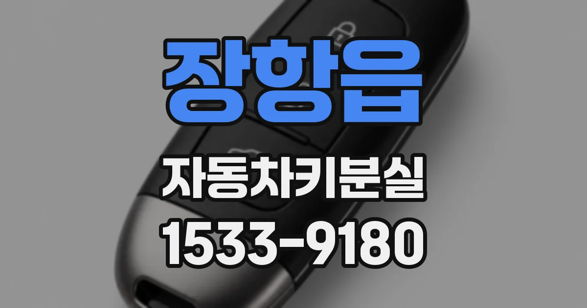 장항읍 자동차키분실