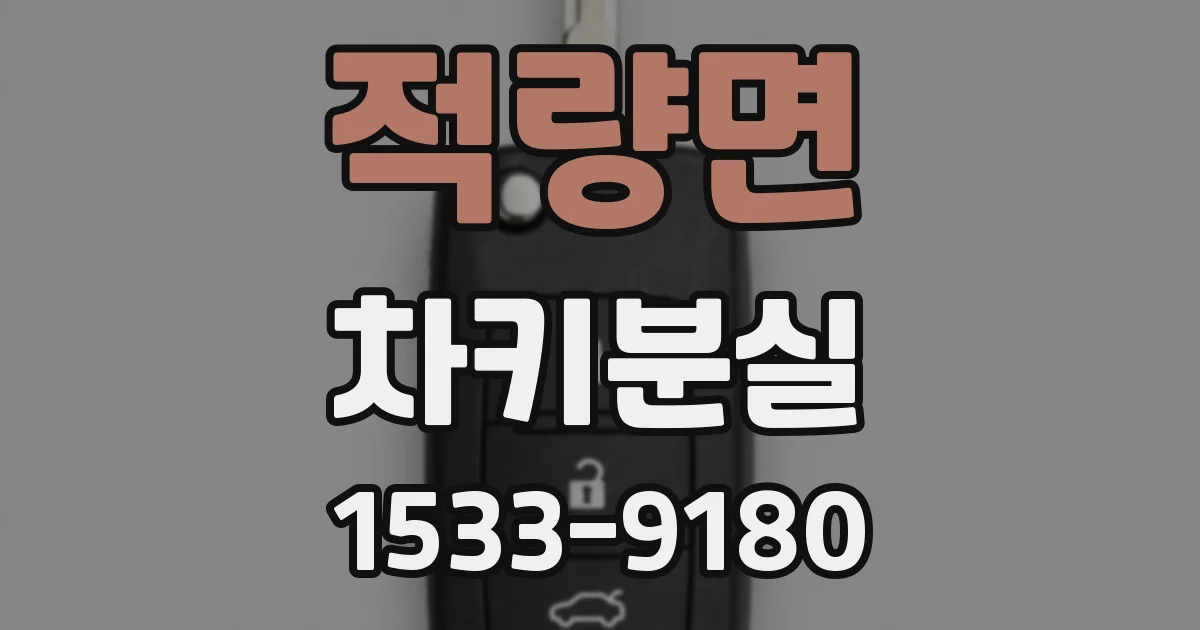 적량면 차키분실