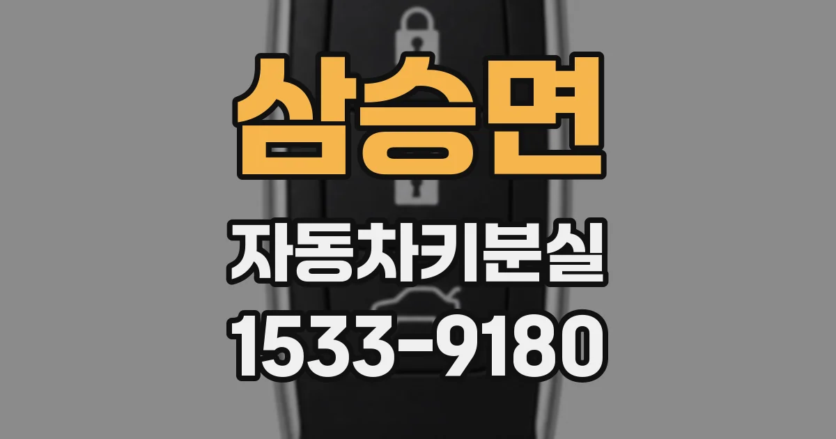 삼승면 자동차키분실