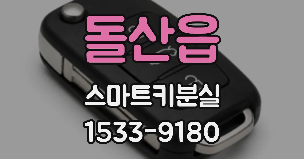 돌산읍 스마트키분실